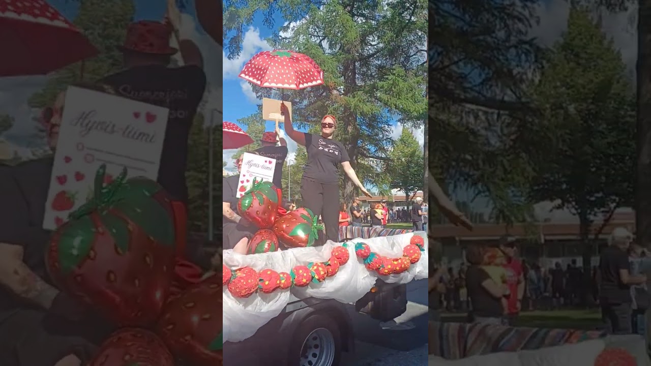 Suonenjoki Mansikka Karnevaalit 2024