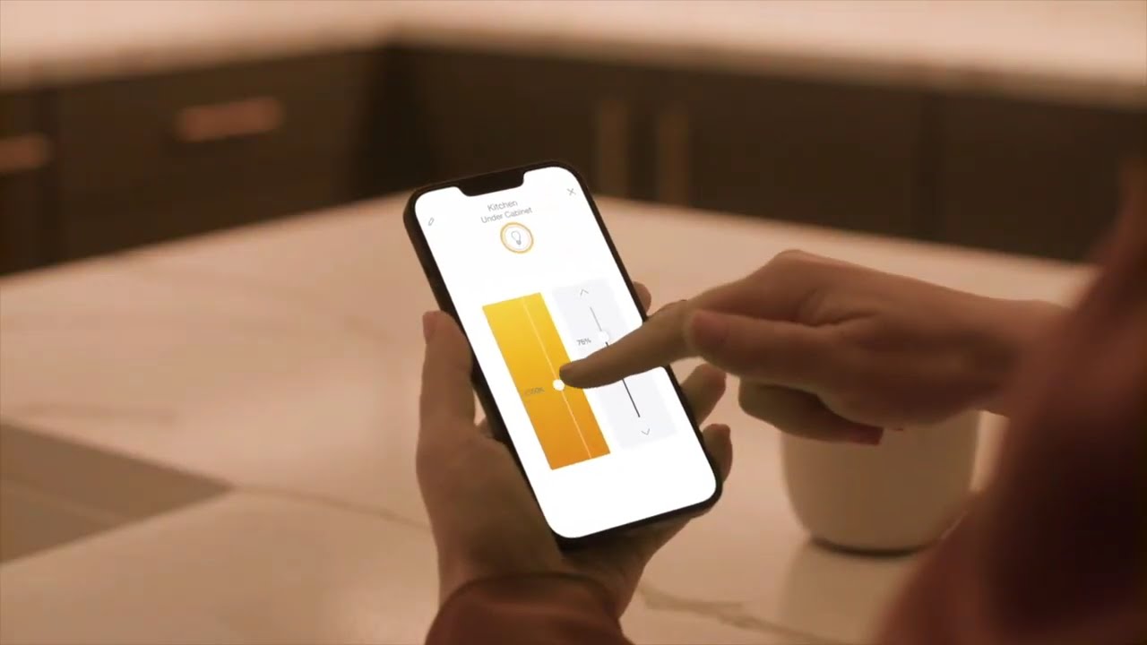 Lutron Radio Ra3 Controls | Dallas Premier Lighting and Home Automation Short 