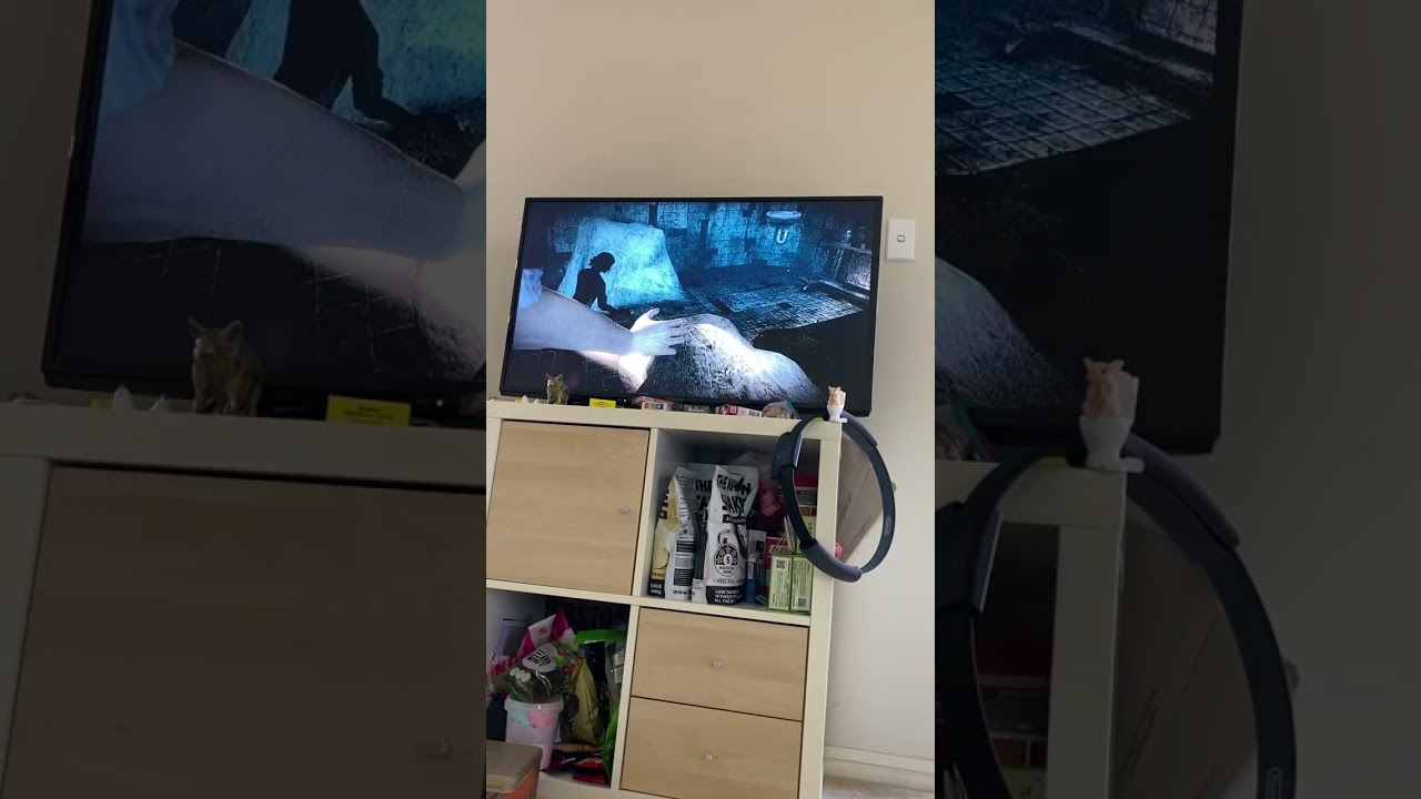 Fatal Frame bug NS Switch