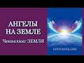 Ангелы на Земле | Ченнелинг ЗЕМЛЯ