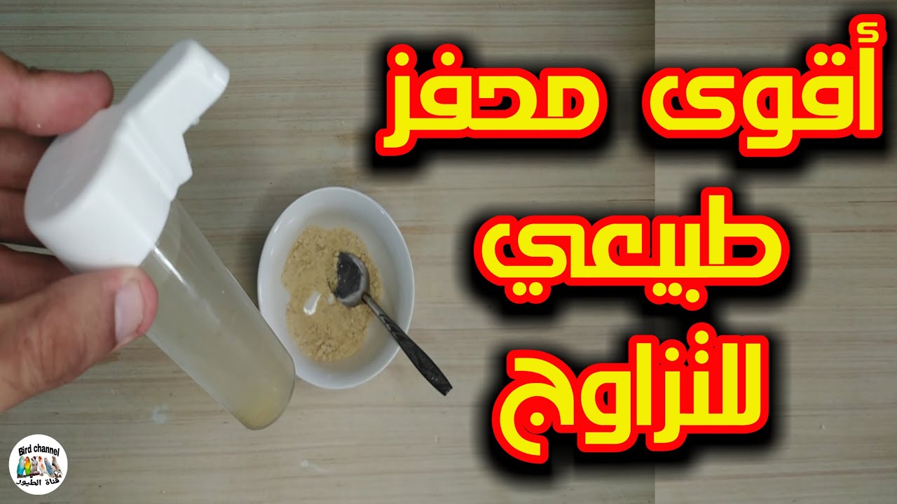 أقوى محفز جنسي قدمه لطيورك لتحفيزها على التزاوج يقدم لكل أنواع الطيور  فعال 100%