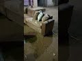 ٢٩ أغسطس ٢٠٢٥
