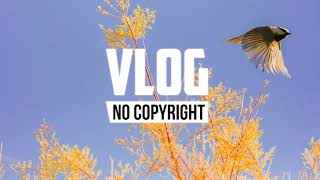 Ehrling - Heart (Vlog No Copyright Music)
