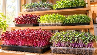 Grow 15 Fresh Greens Indoors All Winter — Easy Microgreens in 7 Days screenshot 5