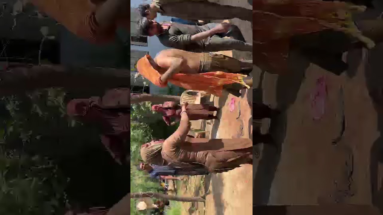 Holi Celebration #holi 