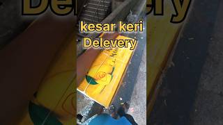 ||Kesar Keri||#mango#trending#vlog#vegitables#gujrati#shorts#instagram