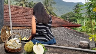 Farm fresh yummy breadfruit recipes| දෙල්| breadfruit curry| breadfruit cutlass| Chips| sakefruit