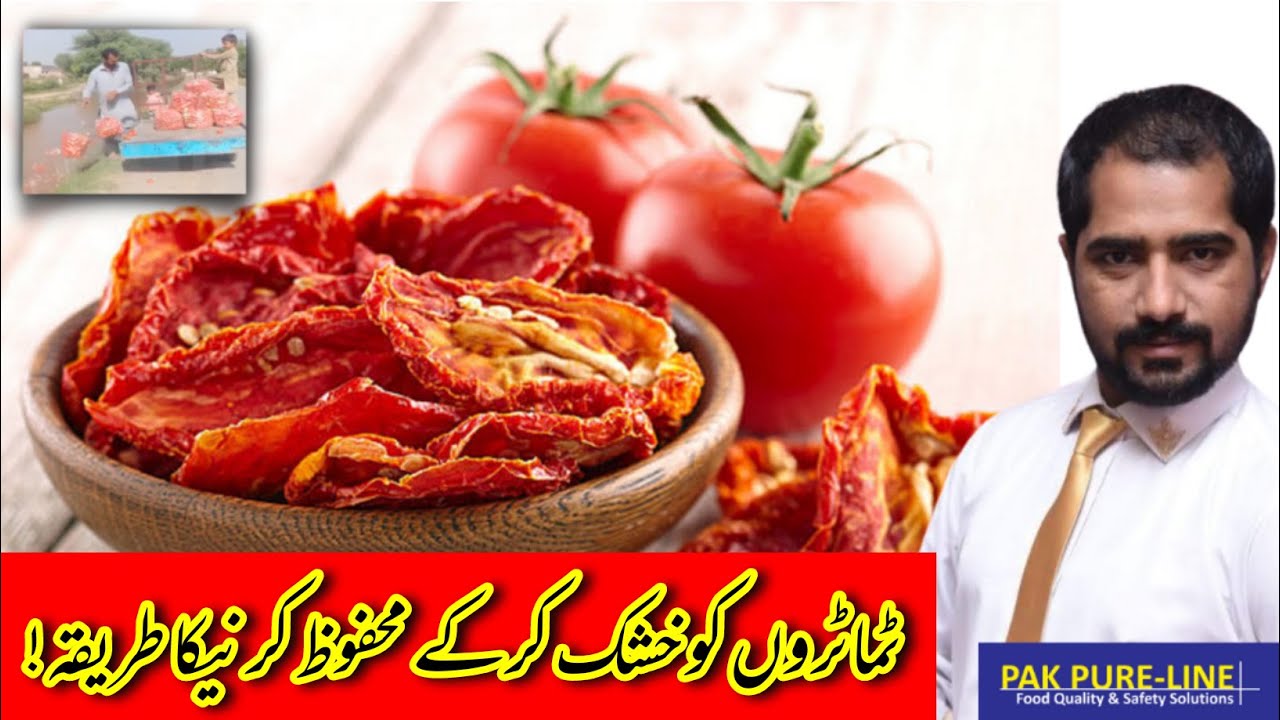 How to Dehydrate Tomatoes and Get Profit || Solution of Farmer's Problem || Pak Pure-Line