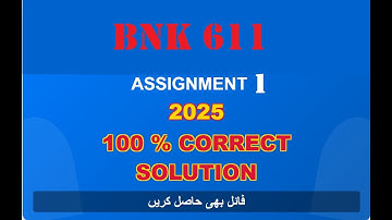 bnk 611 assignment 1 solution fall 2025