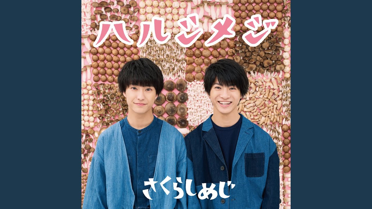 でぃすとーしょん