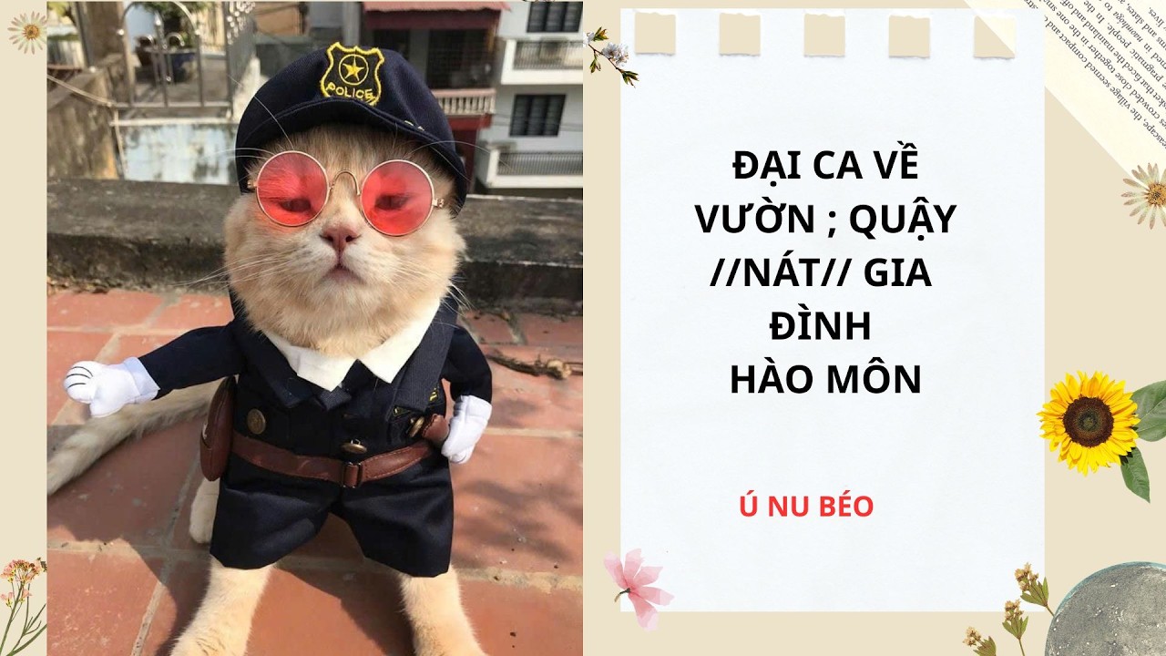 FULL Audio / ĐẠI CA VỀ VƯỜN, QUẬY NÁT GIA ĐÌNH HÀO MÔN