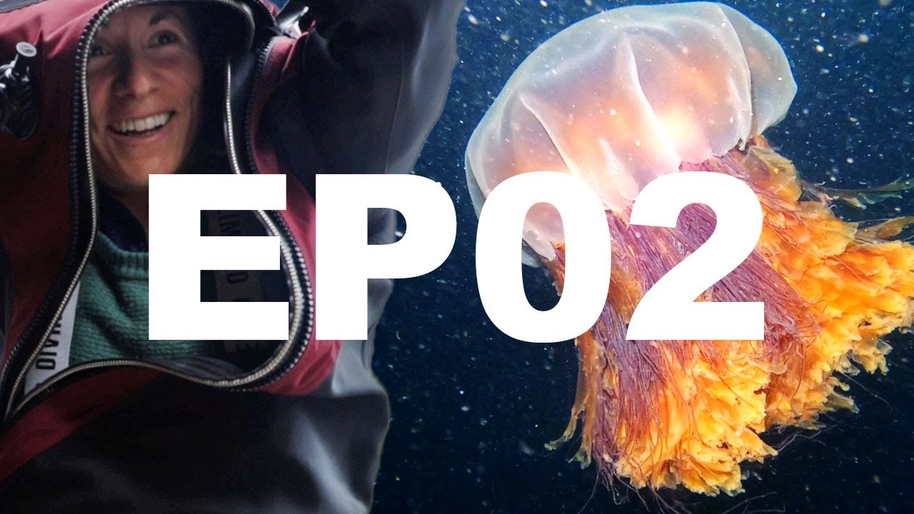 Первые погружения в сухом костюме с SIDEMOUNT — Худ-канал, Вашингтон — DIVE DRY ROAD TRIP EP02