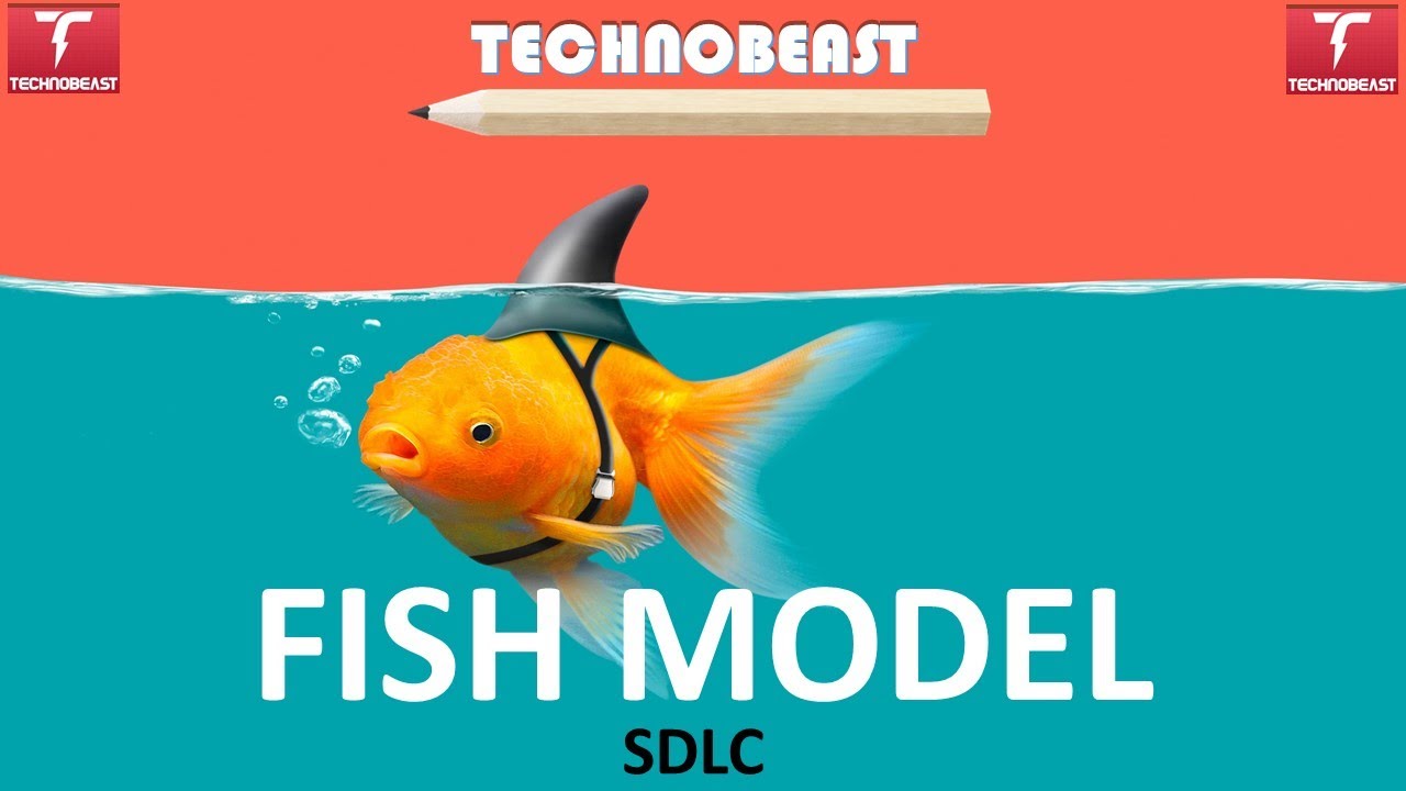 softwaretestingsoftwaredevelopment SDLC FISH MODEL YouTube