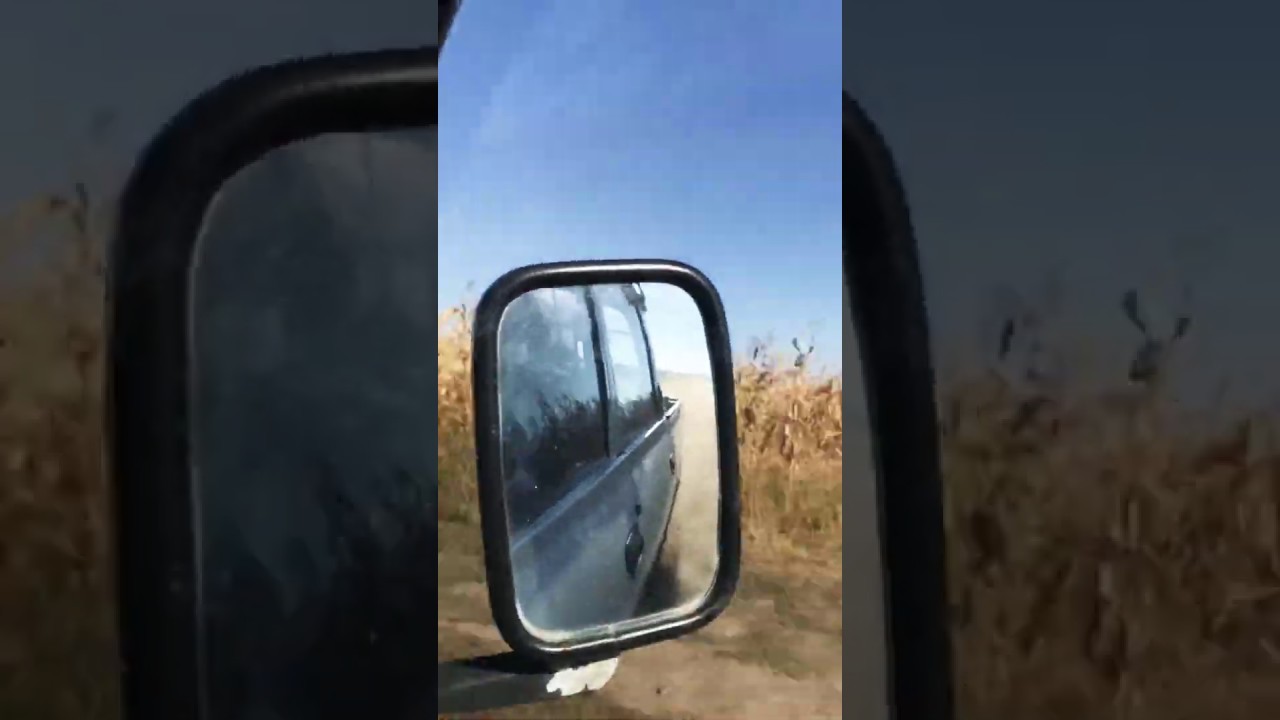 Dacia papuc x Travis Scott