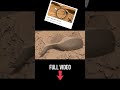 WEIRD Object Found on Mars!