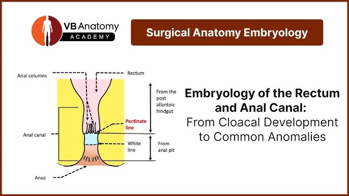 Cum in Moms Pussy ni onlayn tomosha qiling