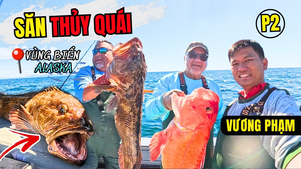 HẾT BỊ SAY SÓNG! Vương Phạm Chạm Mặt CÁ KHỦNG ALASKA - Loài Cá ĐẶC BIỆT Chỉ Được Câu 1 Con/Năm