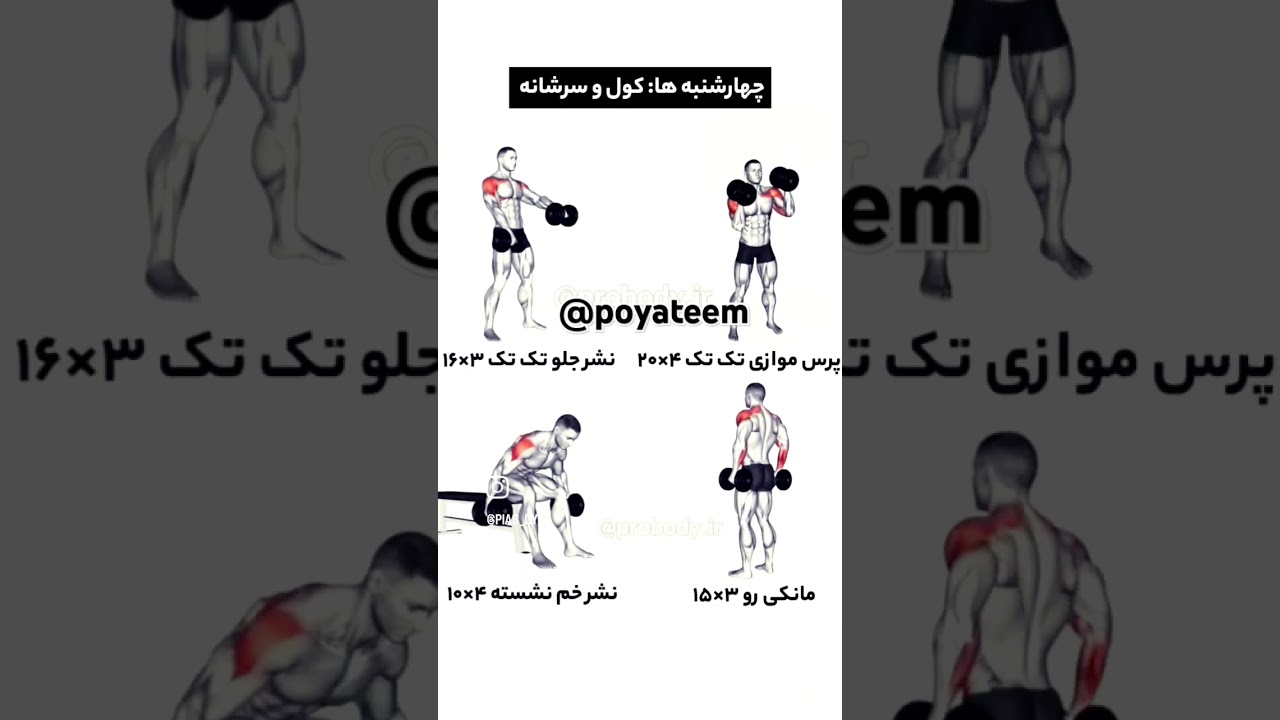 برنامه بدن سازی در خانه با دمبل 