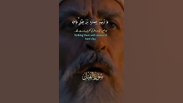 ‏سورة ‏الفيل📖 ‏سبحان الله ♥︎ #اكسبلور #سورة_الفيل #قرآن #سلام #الله #الدين ￼￼￼
