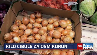 Osm korun za kilo vyvolalo cibulové šílenství. Farmář se rozhodl pro netradiční prodej