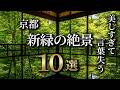 【4K】美しすぎて言葉を失う。京都の新緑庭園10選