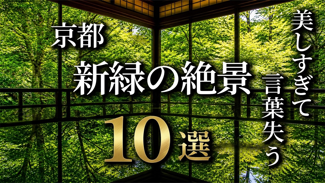 【4K】美しすぎて言葉を失う。京都の新緑庭園10選
