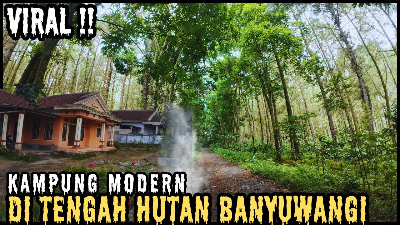 VIRAL‼️KAMPUNG MODERN DI TENGAH HUTAN BANYUWANGI