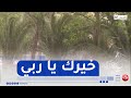 الأرصاد الجوية ارتفاع مستوى التساقطات المطرية بنسبة فاقت 200 في المائة مقارنة بـ 2024 