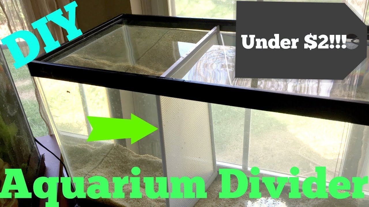 How To Make an Aquarium Divider 