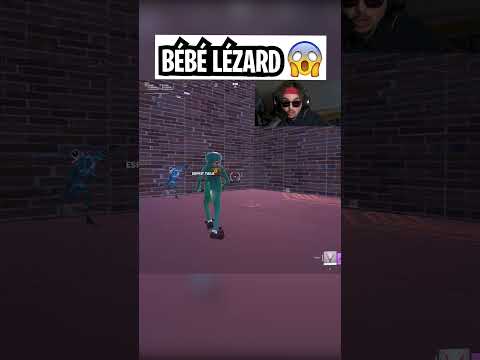 😱 Bébé Lézard