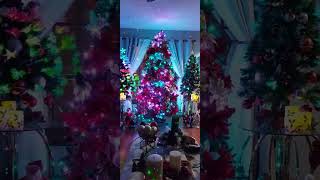 Christmas Tree Holiday Symphony!    Synchronized  Light Show & Music