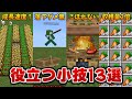 サバイバルで役立ちすぎてもはや常識な小技13選[マイクラ統合版/1.17.11/Bedrock](Win10/PE/Switch/PS4/Xbox)