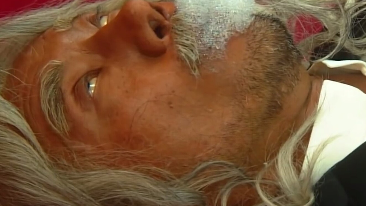 ミルヒーホルスタイン のライブ ストリーム Youtube