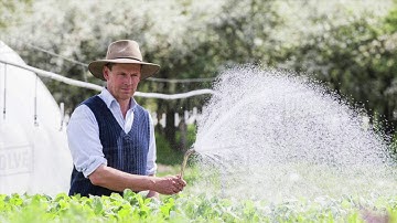 Codeavour Project Video