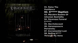 Disgorge Mex — Necrholocaust