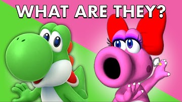 The History of Yoshi and Birdo