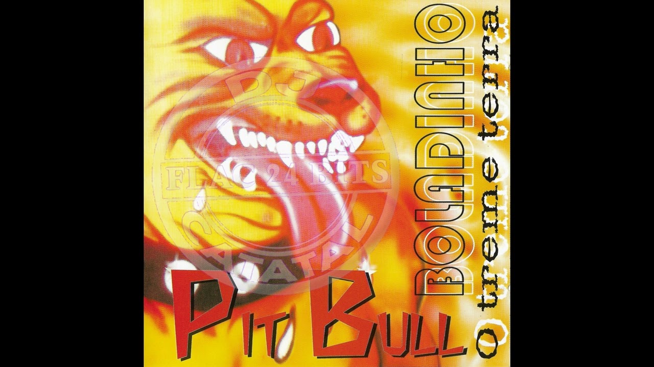 2002 CD Disco Dance Vol.07 Pit Bull Boladinho O Treme Terra    ⬇Download na Descrição⬇