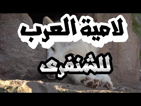لامية العرب للشنفرى عبدالرحمن سكرية