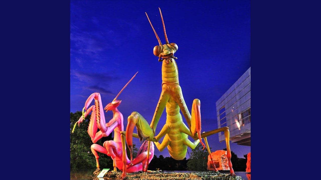 YouTubeでDevil / Edge / Skyを視聴 YouTubeでDevil / Edge / Skyを視聴