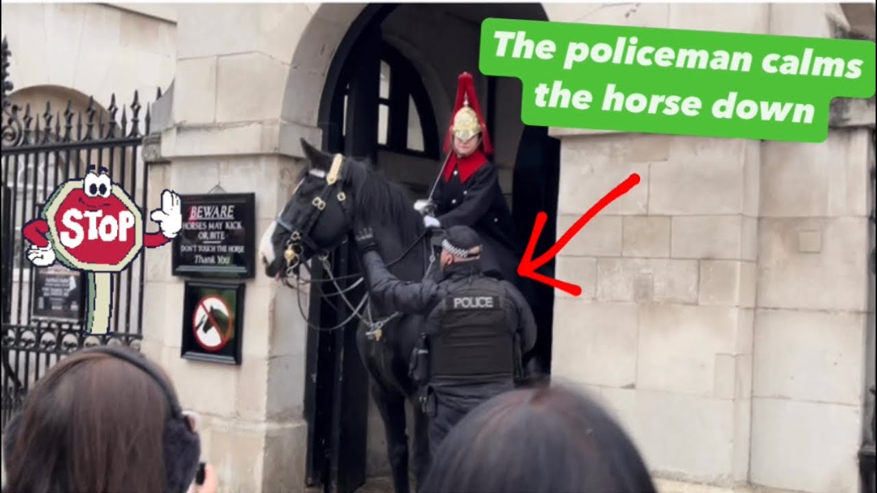 Scared Guard Oh Noooo! King’s Horses Guard scared - YouTube