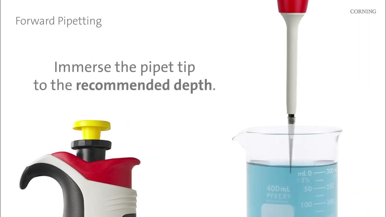 Axygen® Axypet® Pro Pipettor Forward Pipetting Technique YouTube