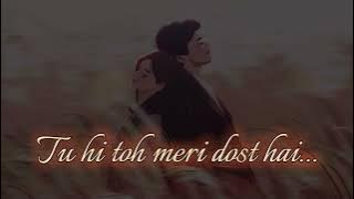 Tu hi toh meri dost hai | slowed and reverb | axonnaru