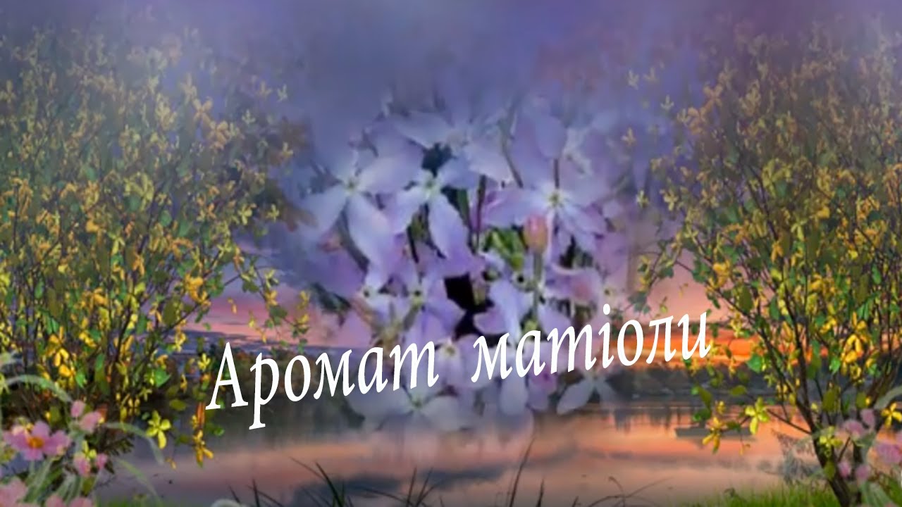 Чудова, зворушлива  пісня про  кохання - АРОМАТ   МАТІОЛИ...