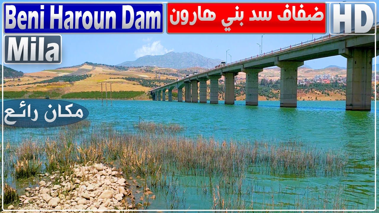 مكان رائع يستحق العناية.. جولة حول ضفاف سد بني هارون بوادي الرمال منطقة فرضوة ولاية ميلة