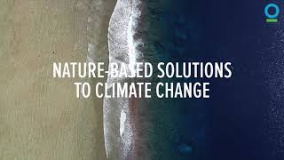 Details Protecting Biodiversity. Protecting our Future. News