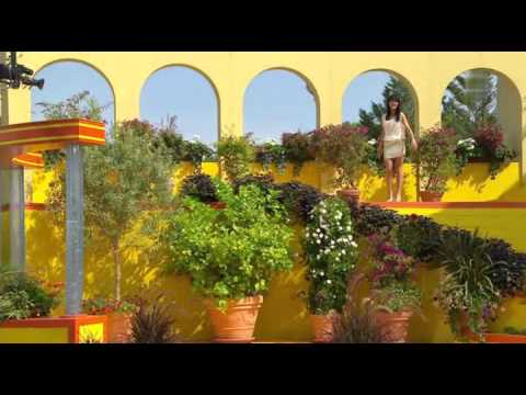 Alexandra Lexer - Der Morgen danach 2015