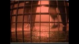 Benny B - Mais Vous Êtes Fous - Clip.avi