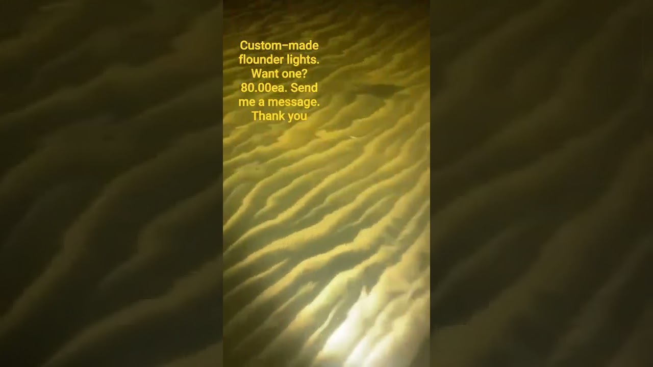 flounder gigging lights