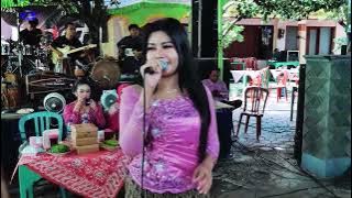 Cinderella // Lisa rahma // Alrosta