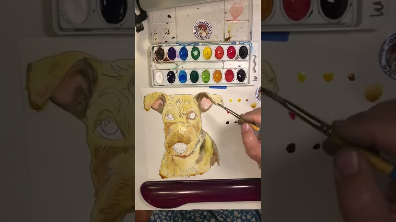 Pet Portrait Fun DIY Pet Portrait Fun ART Kits - YouTube